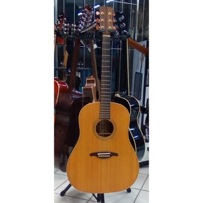 Ibanez ragtime special acoustic